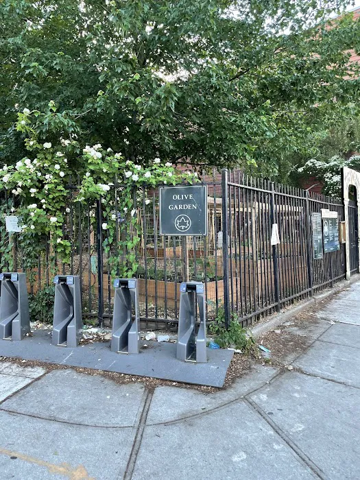 Olive Street Garden Picture 5