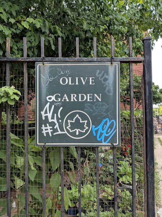 Olive Street Garden Picture 6