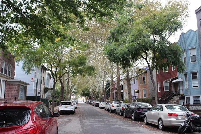 Orient Grove Picture 3