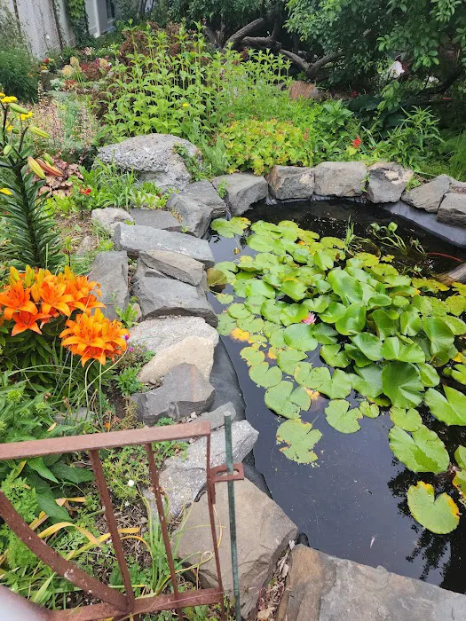 Lentol Garden Picture 1