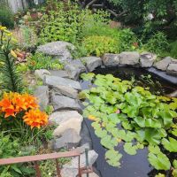 Lentol Garden ico