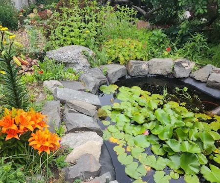 Lentol Garden