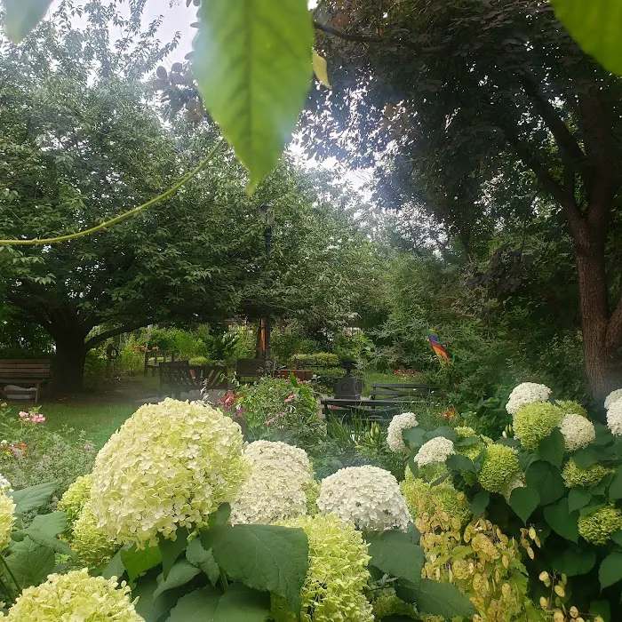 Lentol Garden Picture 8