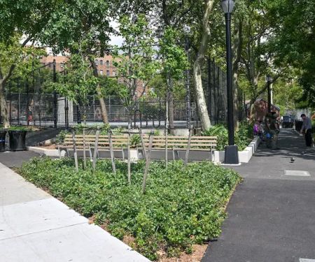 Noonan Park Dog Run