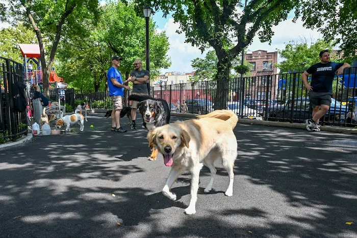 Noonan Park Dog Run Picture 4