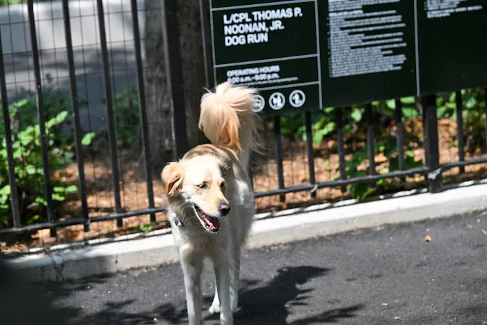 Noonan Park Dog Run Picture 3