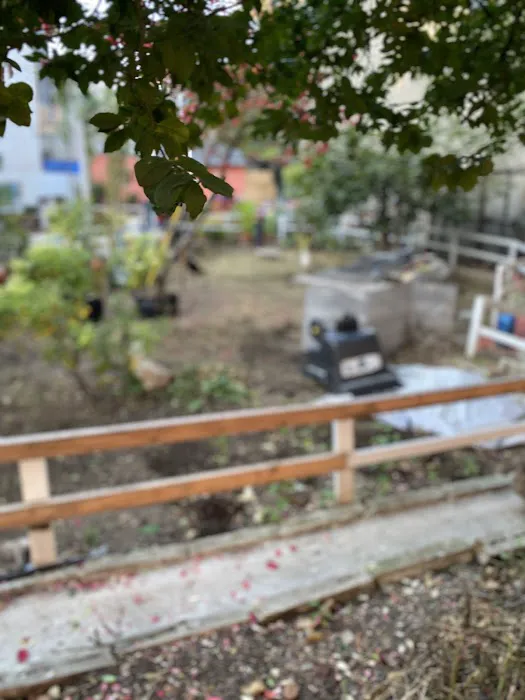 People's Garden Picture 3