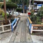 People's Garden
