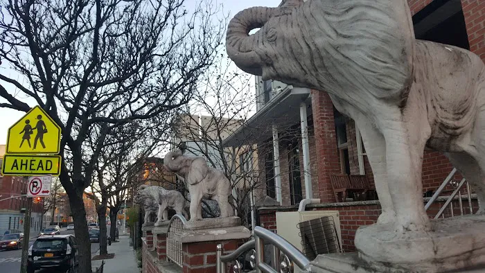 Bedford-Stuyvesant Community Garden Picture 4