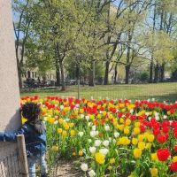 Saratoga Park ico