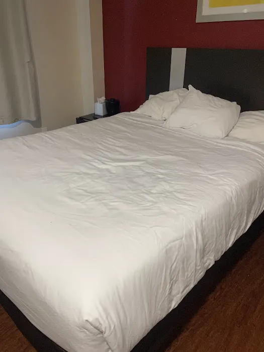 Surface Inn Brooklyn Picture 2