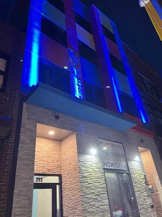 Moon Hotel Brooklyn Picture 7