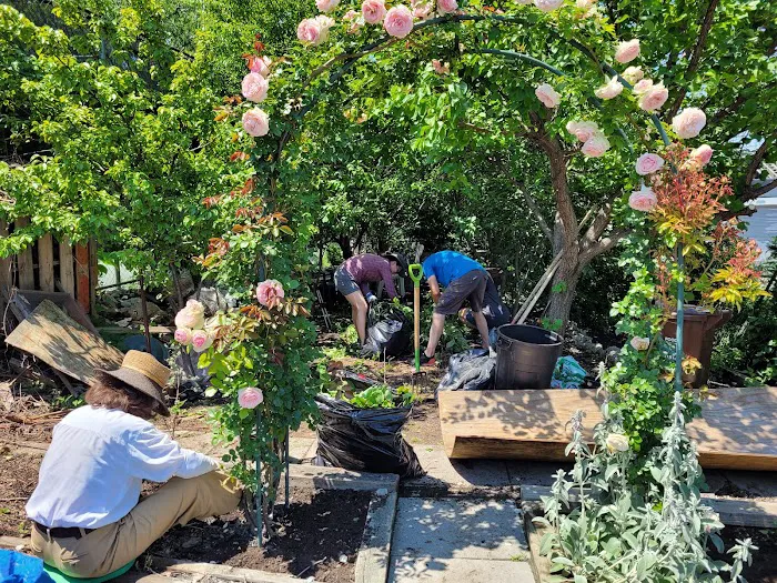 Sunnyside Community Garden Picture 1