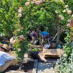 Sunnyside Community Garden