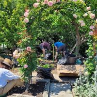 Sunnyside Community Garden ico