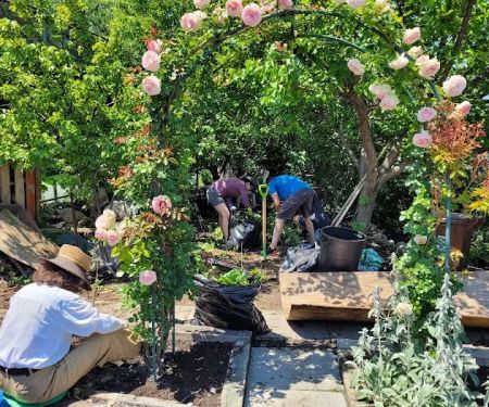 Sunnyside Community Garden