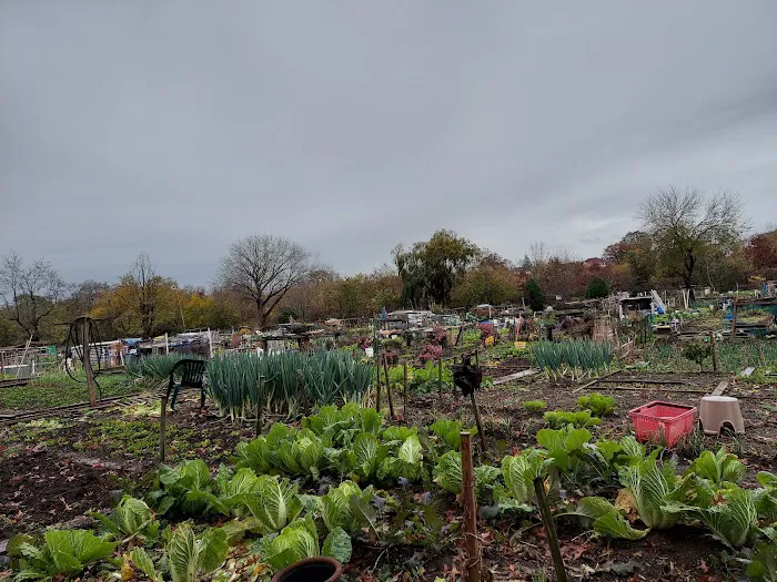 Sunnyside Community Garden Picture 3