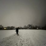 Edgewood Park