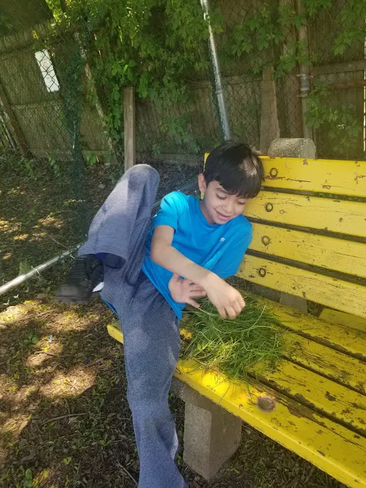 Edgewood Park Picture 7