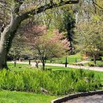 Davis Johnson Park & Gardens
