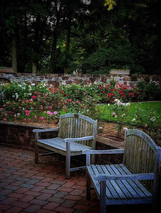 Davis Johnson Park & Gardens Picture 5