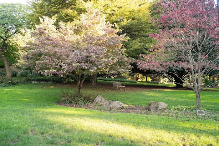 Davis Johnson Park & Gardens Picture 8