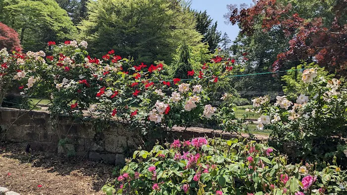 Davis Johnson Park & Gardens Picture 10