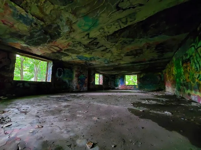 Zabriskie's 1911 “Cliff Dale” House Foundation Picture 2