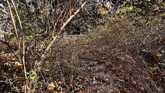 Zabriskie's 1911 “Cliff Dale” House Foundation Picture 8