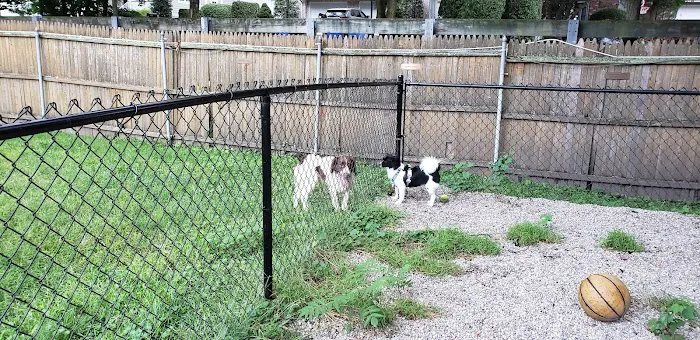 Tenafly Dog Park Picture 4