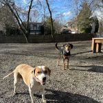 Tenafly Dog Park