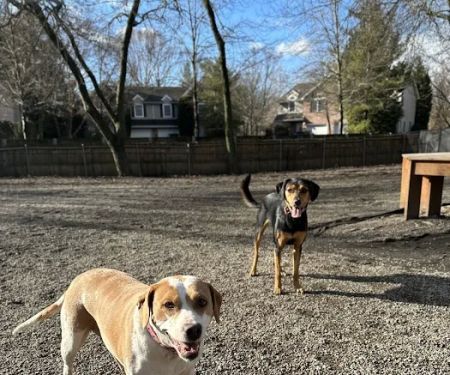 Tenafly Dog Park