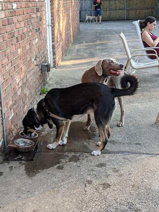 Tenafly Dog Park Picture 2