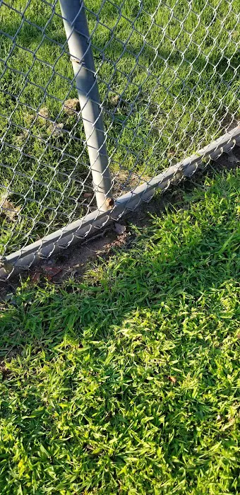 Sunnyside Park Picture 9