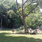Englewood Picnic Area