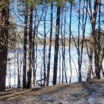 Irvington Woods South Parking Lot