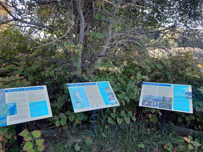Piermont Marsh Component Hudson River National Estuarine Research Reserve Picture 8