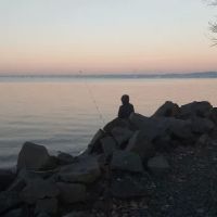 Piermont Marsh Component Hudson River National Estuarine Research Reserve ico