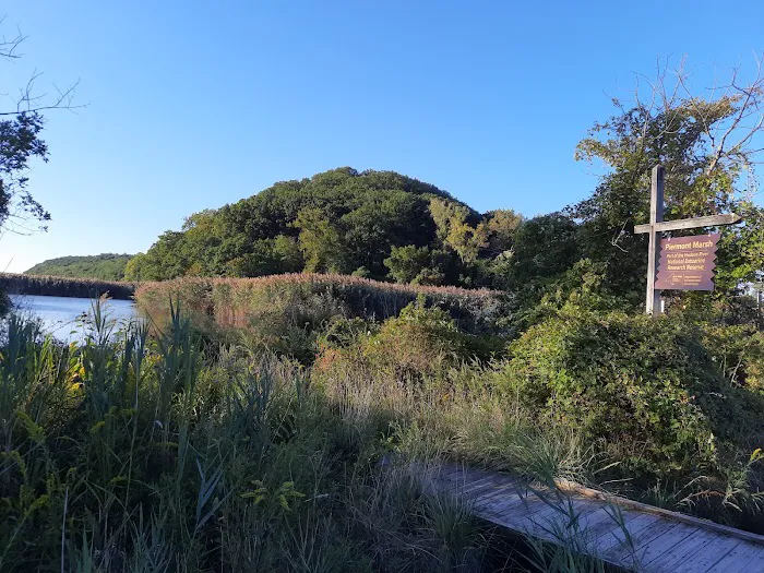 Piermont Marsh Component Hudson River National Estuarine Research Reserve Picture 5