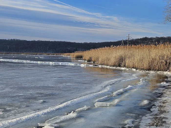 Piermont Marsh Component Hudson River National Estuarine Research Reserve Picture 9