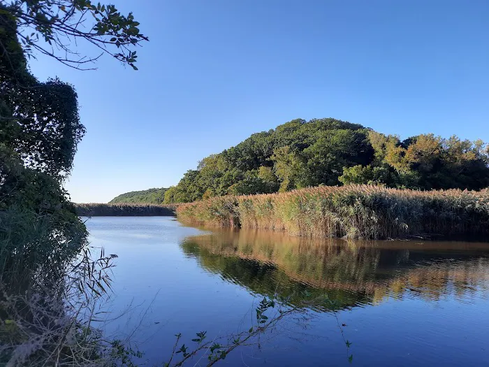 Piermont Marsh Component Hudson River National Estuarine Research Reserve Picture 3