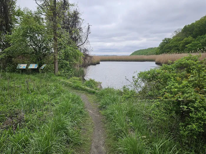 Piermont Marsh Component Hudson River National Estuarine Research Reserve Picture 10