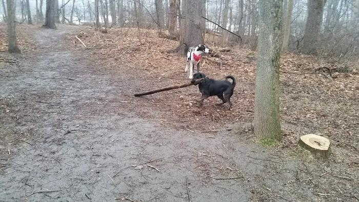 East Rumbrook Park Picture 2