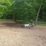 East Rumbrook Park