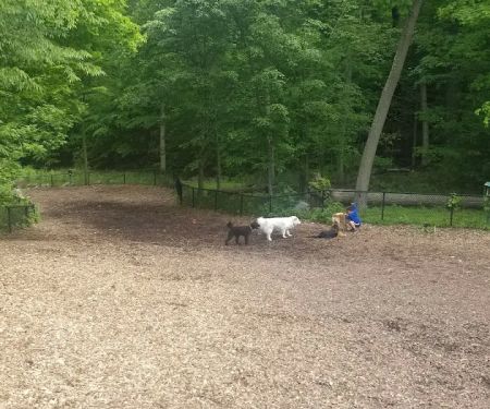 East Rumbrook Park