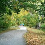 Memorial Park