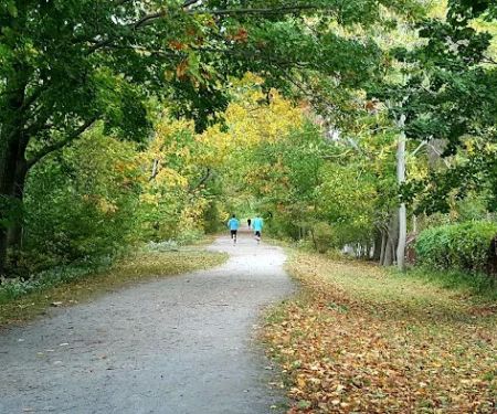 Memorial Park