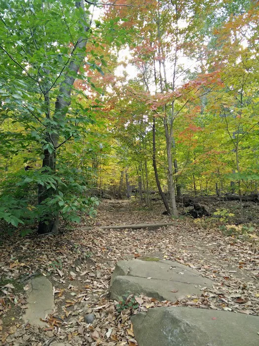 Memorial Park Picture 8