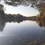 O'Hara Nature Center