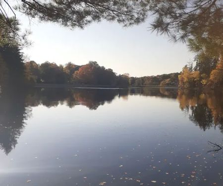 O'Hara Nature Center